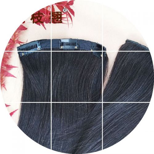 Extension cheveux - Ref 225115