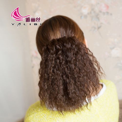 Extension cheveux - Ref 226025