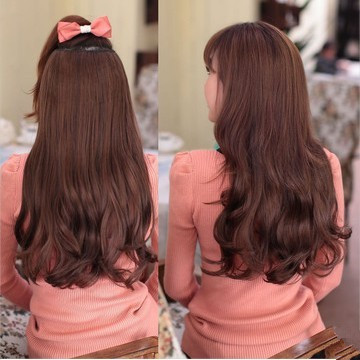 Extension cheveux - Ref 226321