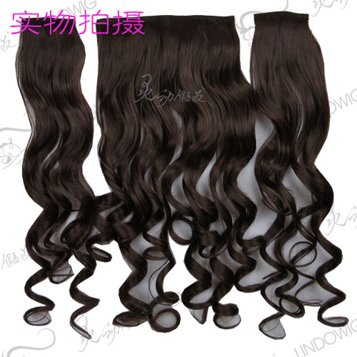 Extension cheveux - Ref 226525