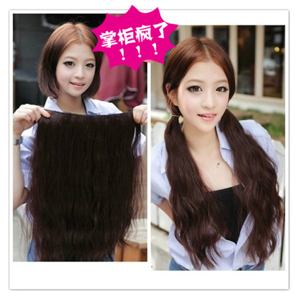 Extension cheveux - Ref 226584