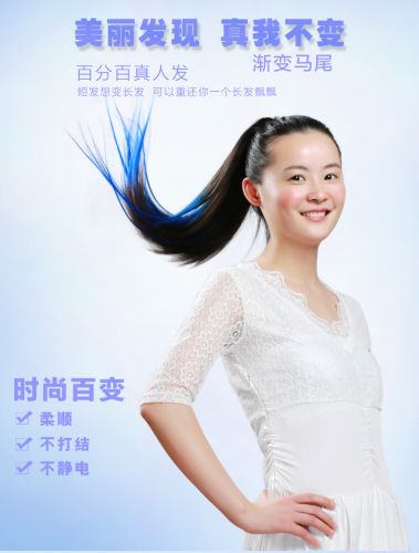 Extension mèches - Ref 217042