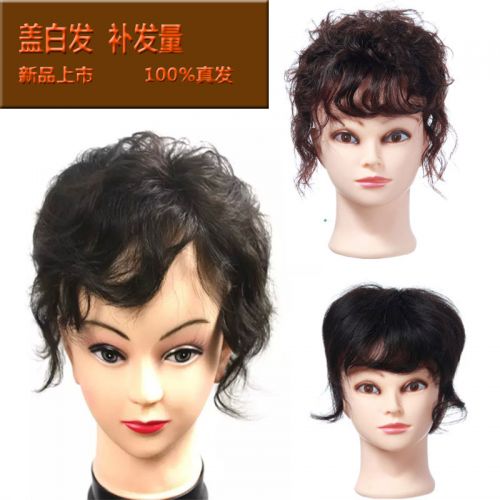 Extension mèches - Ref 218881