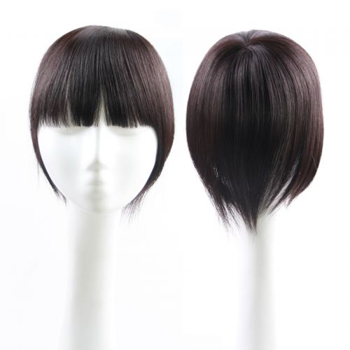 Extension mèches - Ref 218919