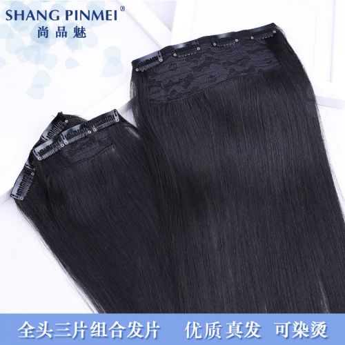 Extension mèches - Ref 219072