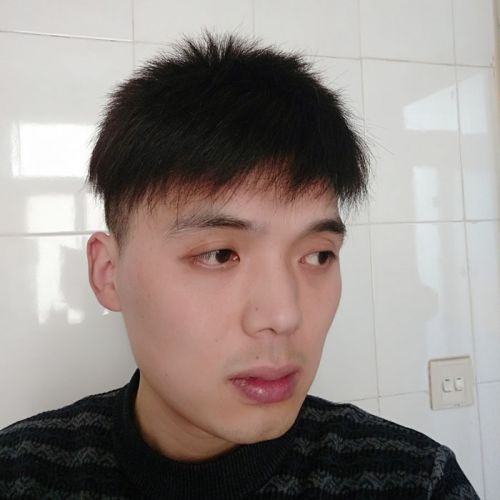 Extension mèches - Ref 219729