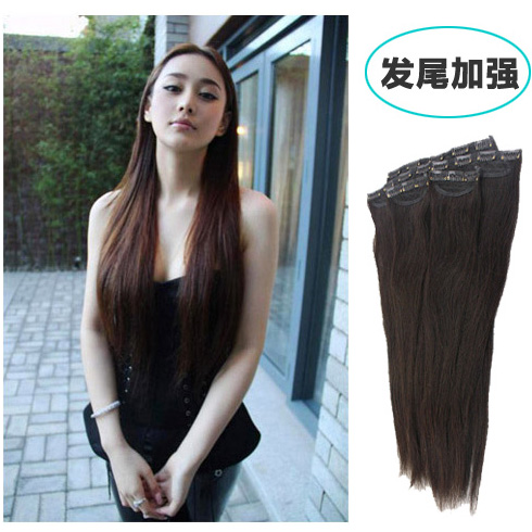 Extension mèches - Ref 219745