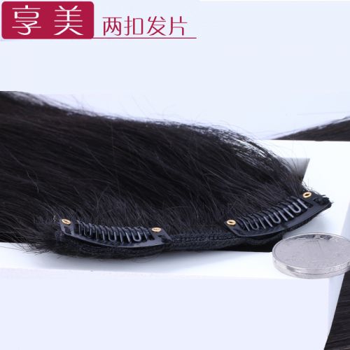 Extension mèches - Ref 219837