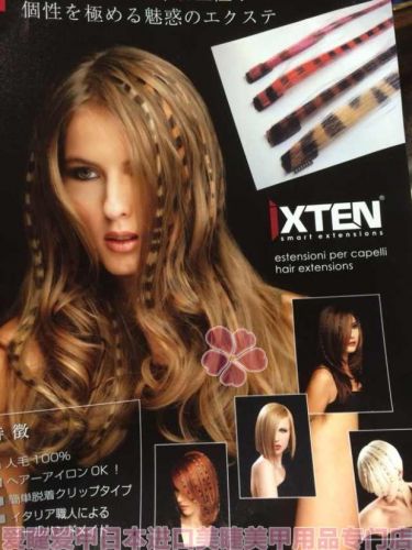 Extension mèches - Ref 219943