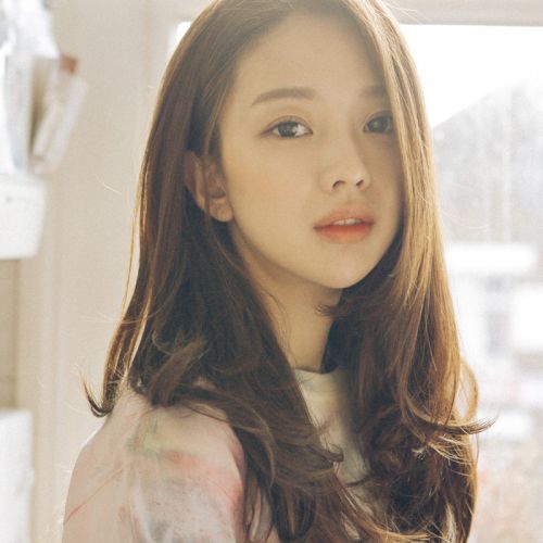 Extension mèches - Ref 220013