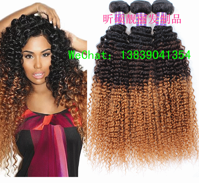 Extension mèches - Ref 220157