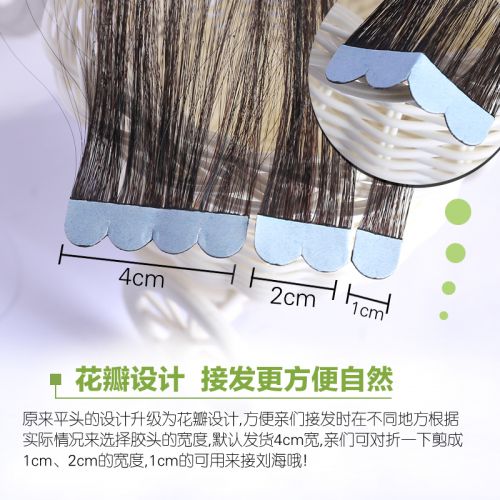 Extension mèches - Ref 220250