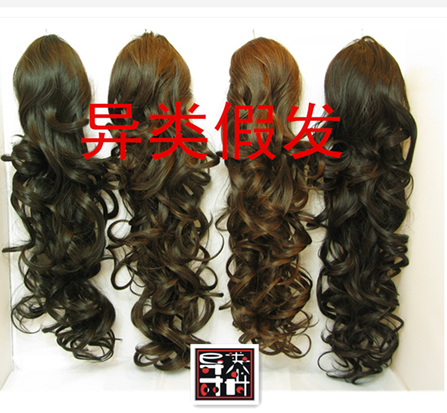 Extension mèches - Ref 220324