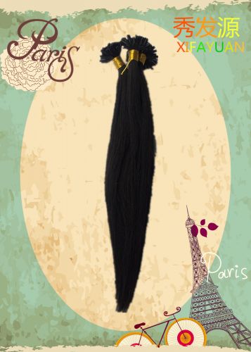 Extension mèches - Ref 220653