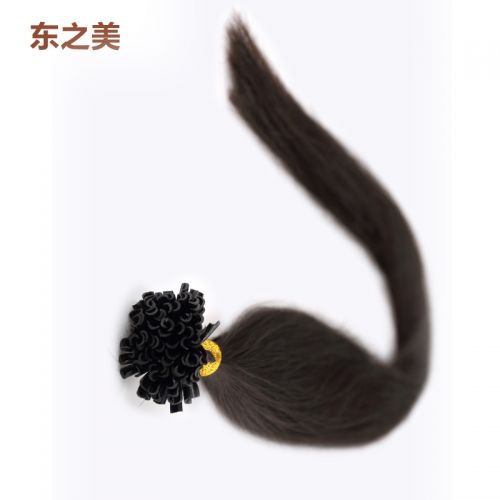 Extension mèches - Ref 220817