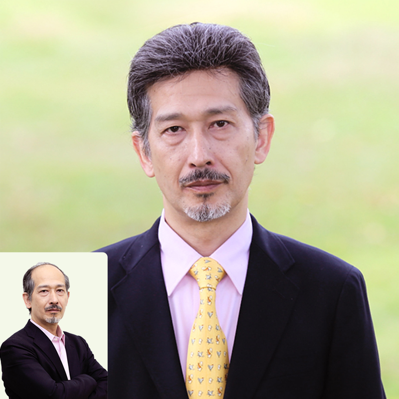 Extension mèches - Ref 224129