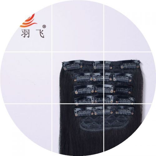 Extension mèches - Ref 224146