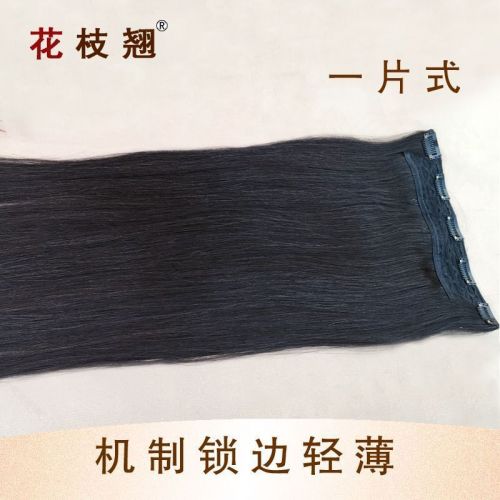 Extension mèches - Ref 224303