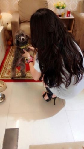 Extension mèches - Ref 224774