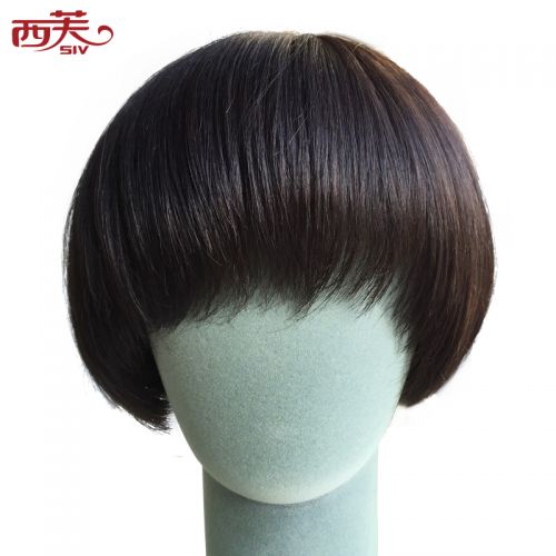 Extension mèches - Ref 224973