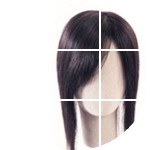 Extension mèches - Ref 225001