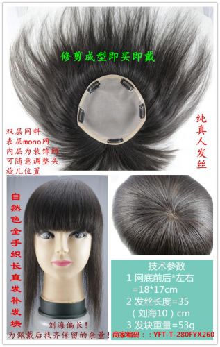 Extension mèches - Ref 225213