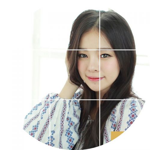 Extension mèches - Ref 225224