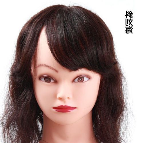 Extension mèches - Ref 225365