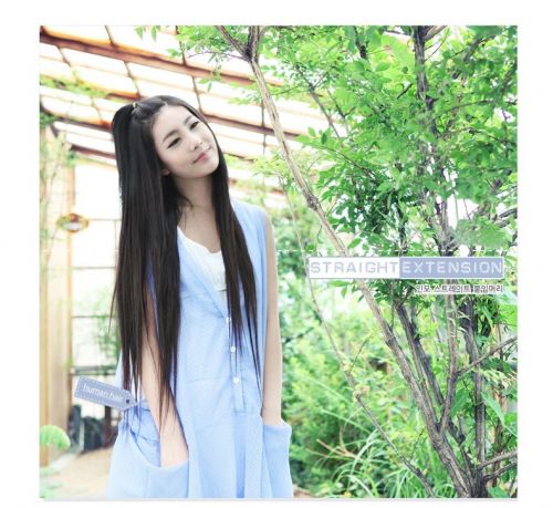 Extension mèches - Ref 225449