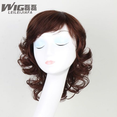 Extension mèches - Ref 225505