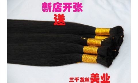 Extension mèches - Ref 225652