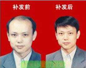 Extension mèches - Ref 225713