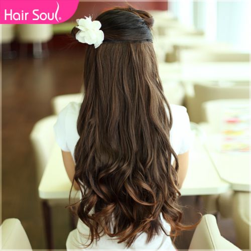 Extension mèches - Ref 225839