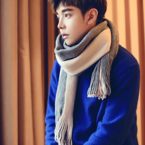 Foulard pour homme - Ref 3160610