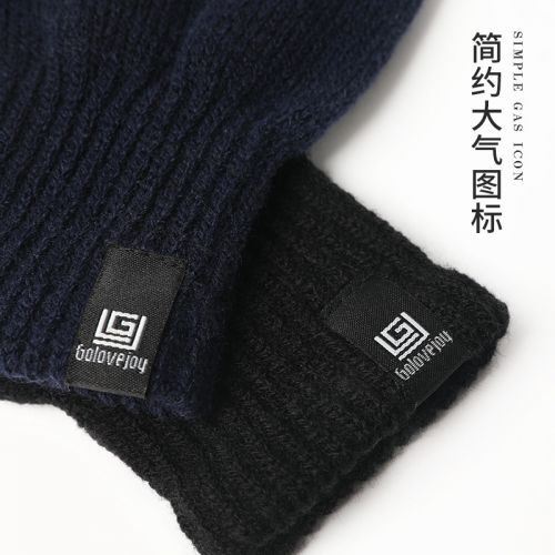 Gants pour femme en Laine - Ref 3155319