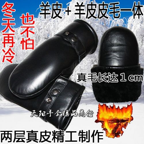 Gants pour homme en peau de mouton - Ref 2781435