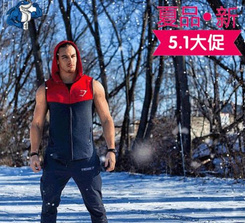 Gilet sans manche sport - Ref 541515