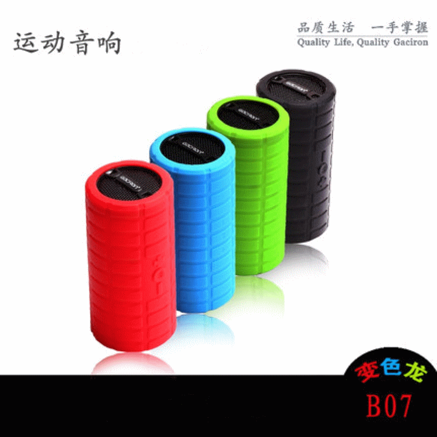 Haut-parleurs portables GACIRON - Ref 2270085