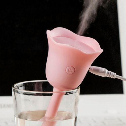 Humidificateur USB - Ref 411824