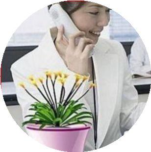 Humidificateurs USB - Ref 443121