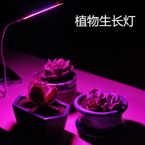 Lampe USB - Ref 374083