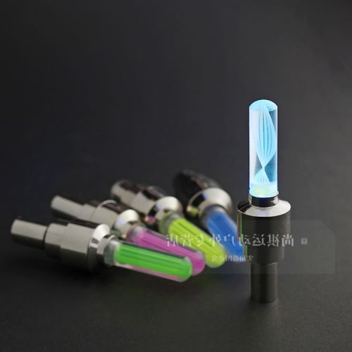 Lumière vélo ROSWHEEL - feux de Valve Ref 2403184