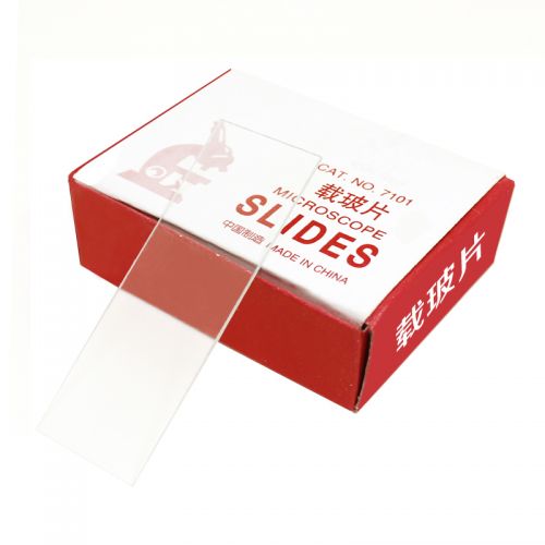 Lunettes de soleil sport BELONA - Ref 1217532