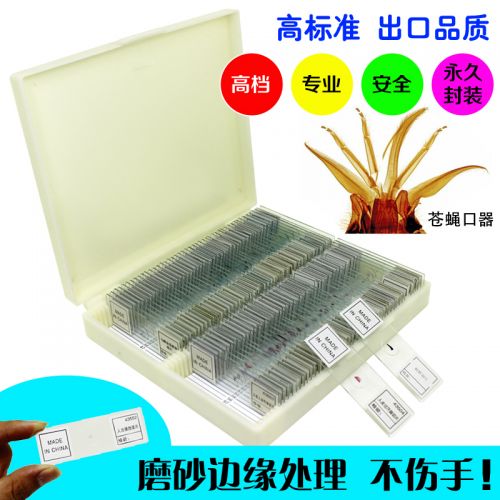 Lunettes de soleil sport BELONA - Ref 1218579