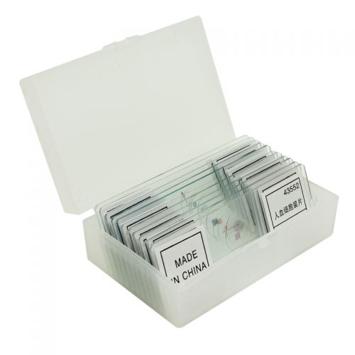 Lunettes de soleil sport BELONA - Ref 1218587