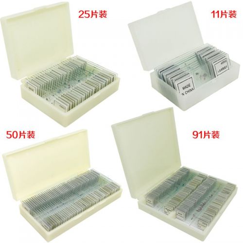 Lunettes de soleil sport BELONA - Ref 1219896