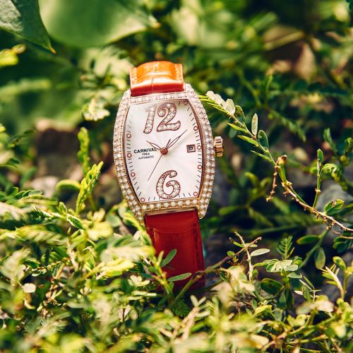 Montre bracelet pour Femme - Ref 3271230