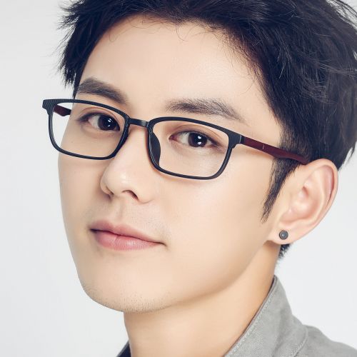 Montures de lunettes en Plaque memoire - Ref 3140207