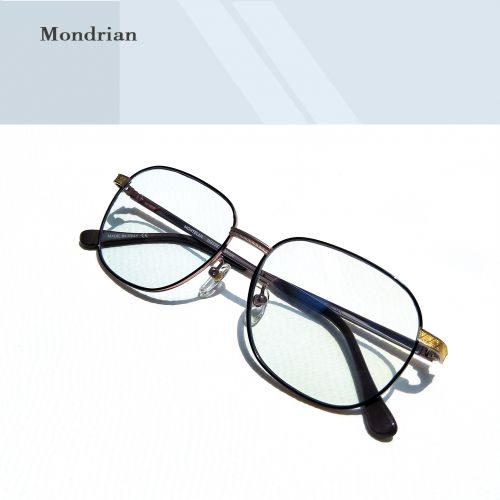 Montures de lunettes en Titane pur - Ref 3141581
