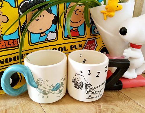 Mug manga peanuts - Ref 2701153